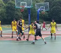 分手后前任无缝衔接