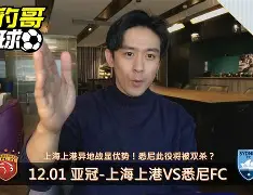乐鱼体育APP下载-上海上港的比赛